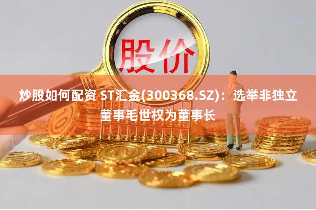 炒股如何配资 ST汇金(300368.SZ)：选举非独立董事毛世权为董事长