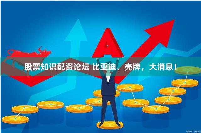 股票知识配资论坛 比亚迪、壳牌，大消息！