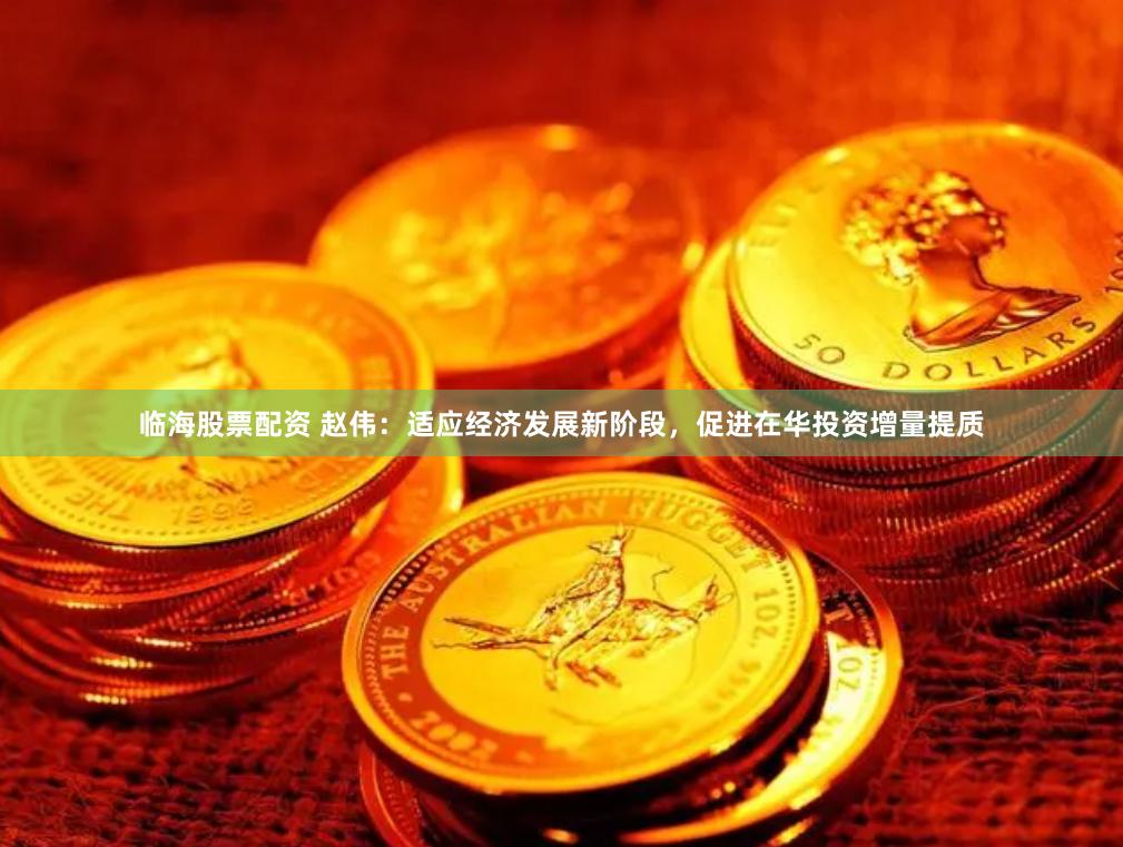 临海股票配资 赵伟：适应经济发展新阶段，促进在华投资增量提质