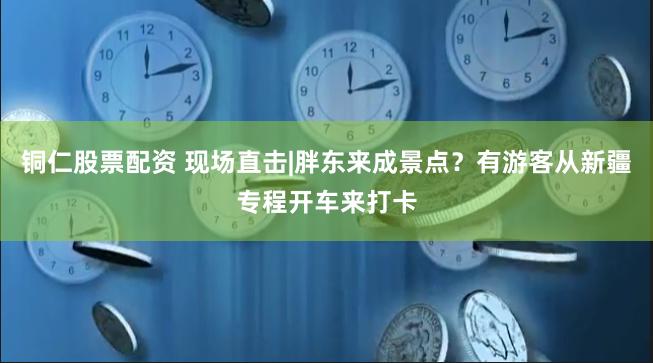 铜仁股票配资 现场直击|胖东来成景点？有游客从新疆专程开车来打卡